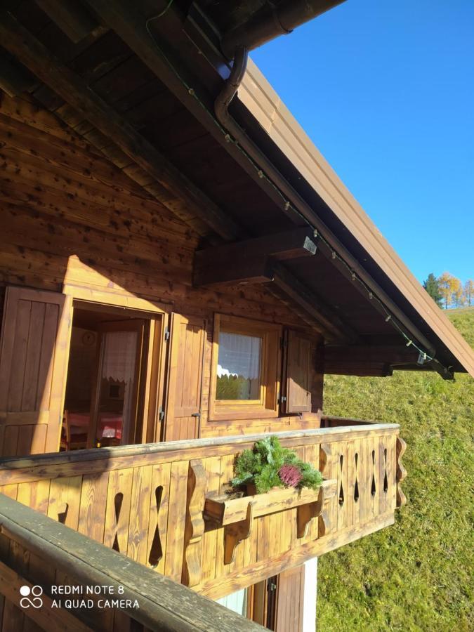 Sappada Family Apartments 外观 照片
